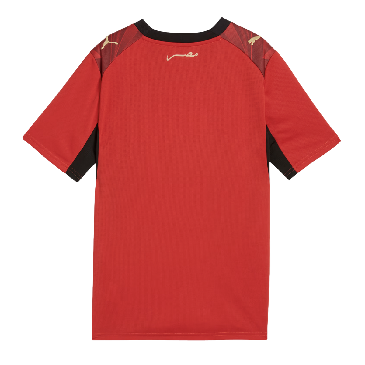 Puma Egypt 26 Kids' Home Stadium Jersey