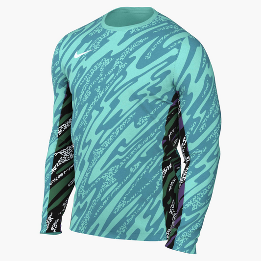 Nike Dri-Fit Men's Gardien V Goalkeeper Jersey