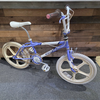 1987 Skyway Street Beat Survivor