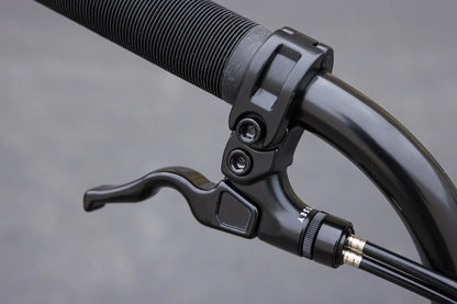 Sunday Forecaster Park Bike (Maca Perez Grasset Signature)